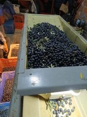 İznik İrisi Zeytin & Black Pearl of İznik | 400 GR