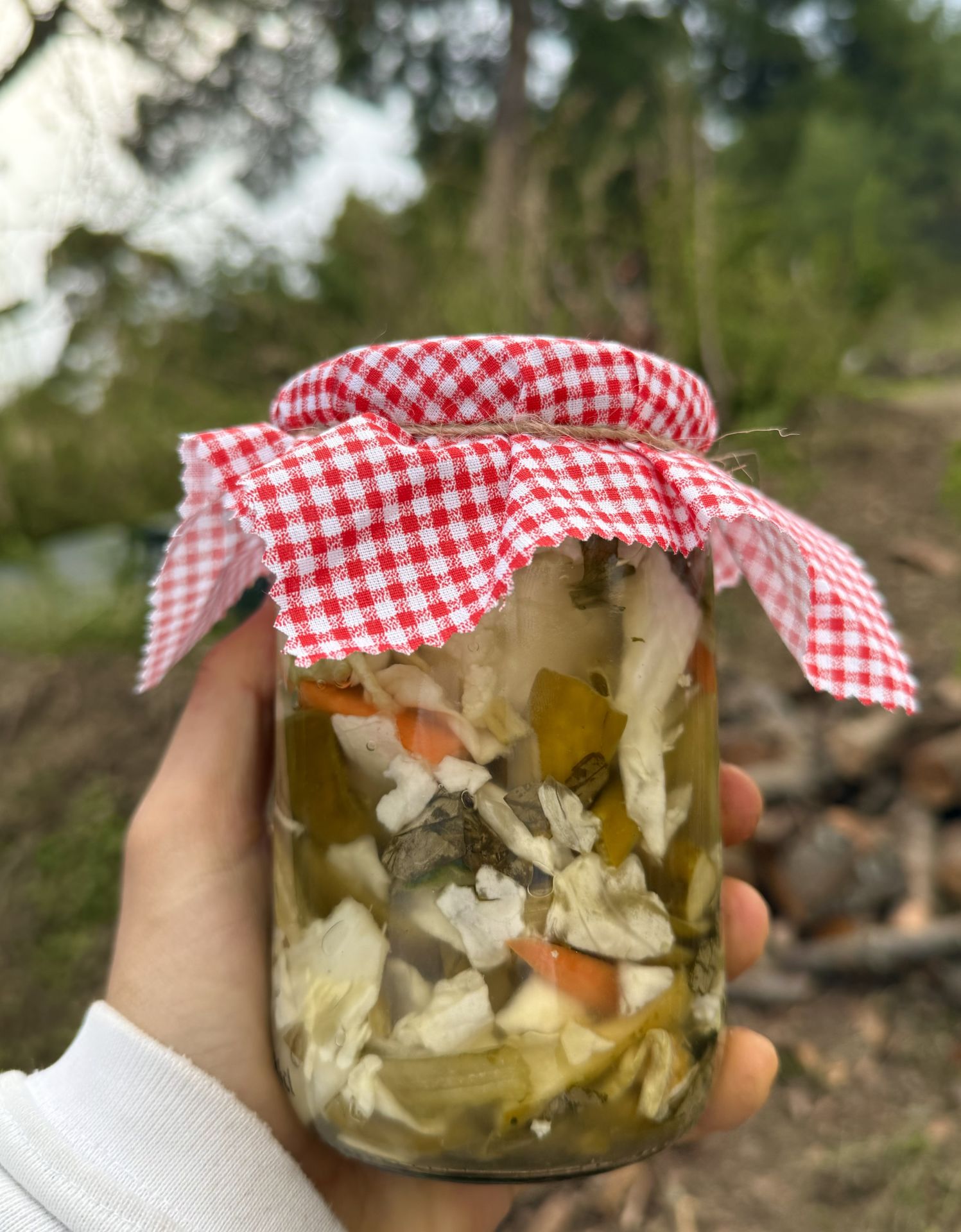 Doğal Fermente Probiyotik Turşu 500 GR