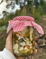 Doğal Fermente Probiyotik Turşu 500 GR