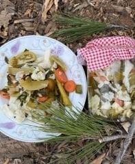 Doğal Fermente Probiyotik Turşu 500 GR